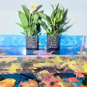 Hangende Bloempot voor aquarium 🐾 Set van 4 stuks 🐾
